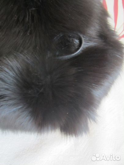 Шапка Натуральный Мех Лисы