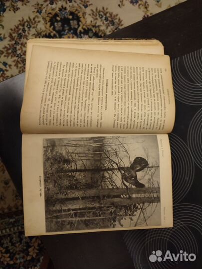 Природа и охота, январь- май, 1896 года