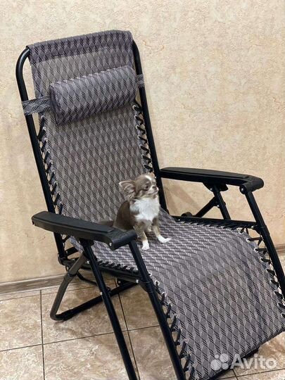 Кресло шезлонг складное