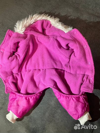 Одежда для собак