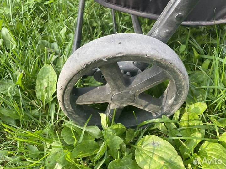 Коляска Rant Jazz