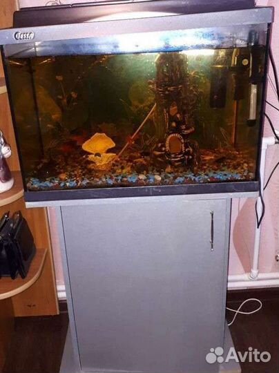 Аквариум с тумбой
