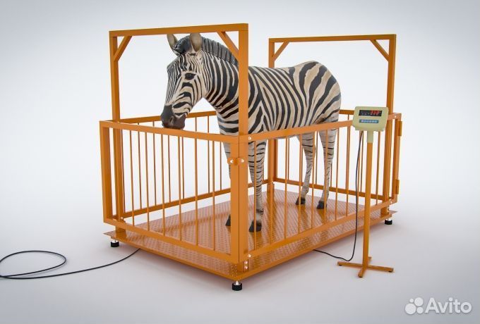 Весы для крс 300 кг 0,75х1м