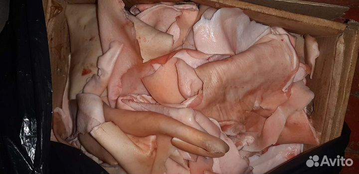 Мясо для животных