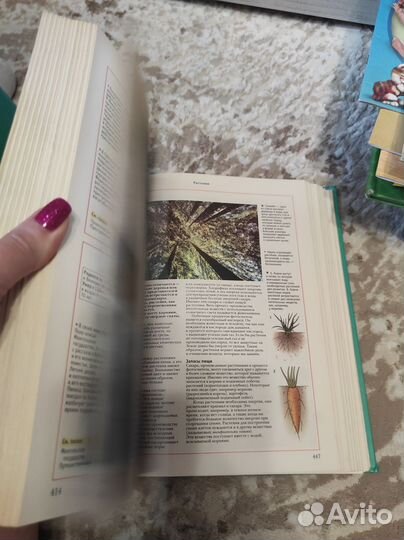 Книга. Оксфордская энциклопедия