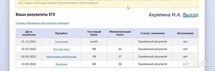 Репетитор по русскому языку