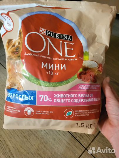 Товары для собак