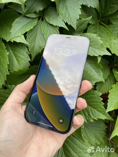 iPhone 12 64 гб (в наличии)