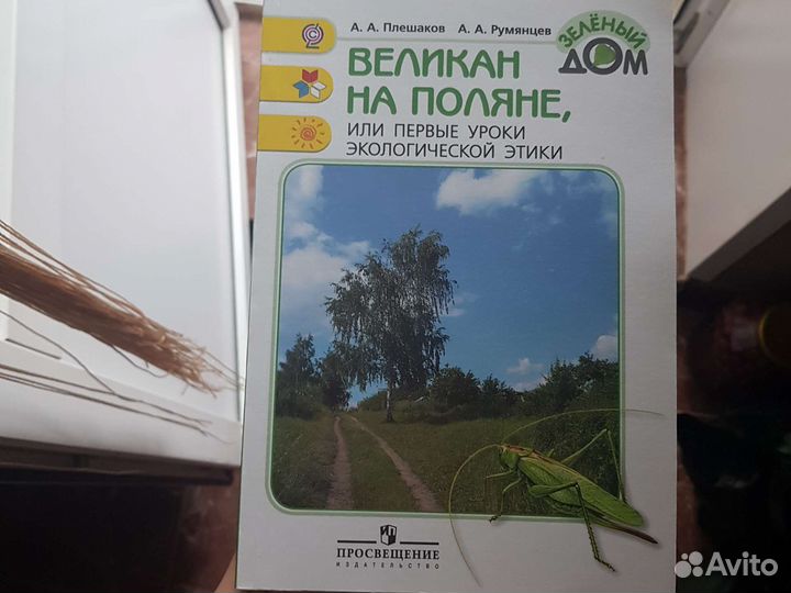 Великан на поляне