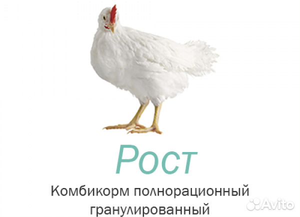 Комбикорм для Кур Бройлеров Рост