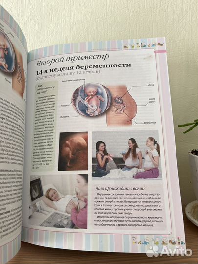 Я скоро мама ирина чеснова