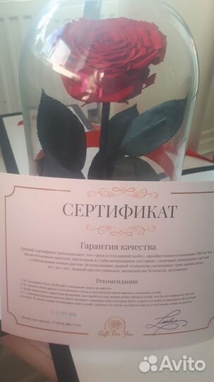 Вечная роза в колбе