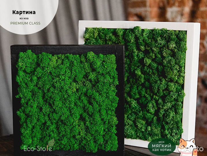 Картина из мха квадратная