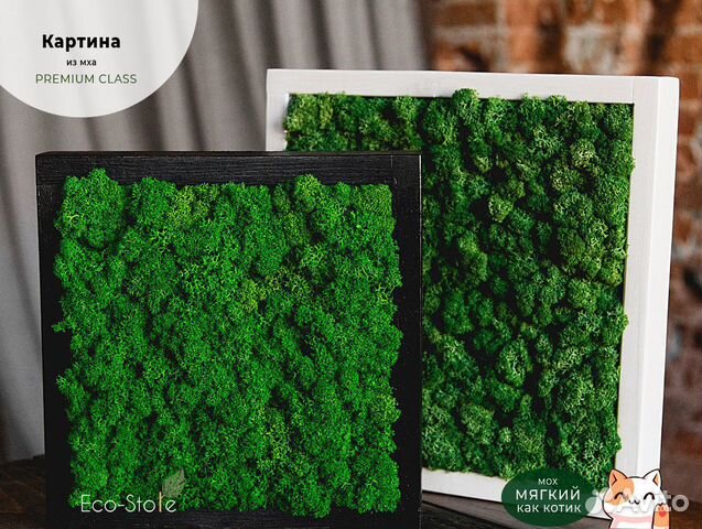 Картина из мха квадратная