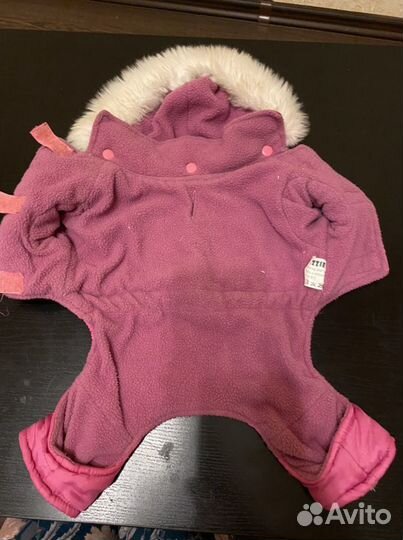 Одежда для той-терьера, чихуахуа