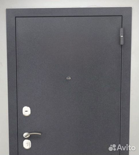 Входная дверь металлическая