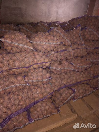 Фермерские продукты