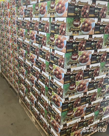 Макадамия орех в скорлупе свежий урожай опт