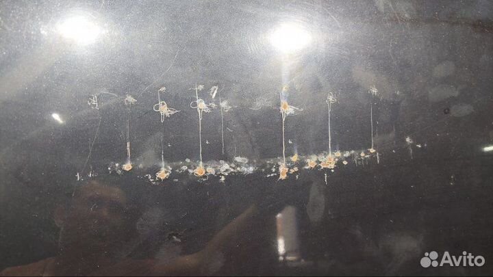 Капот Volkswagen Touran BKC 2005