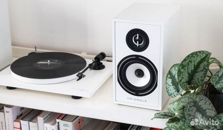 Полочная акустика Triangle Borea BR02 Walnut