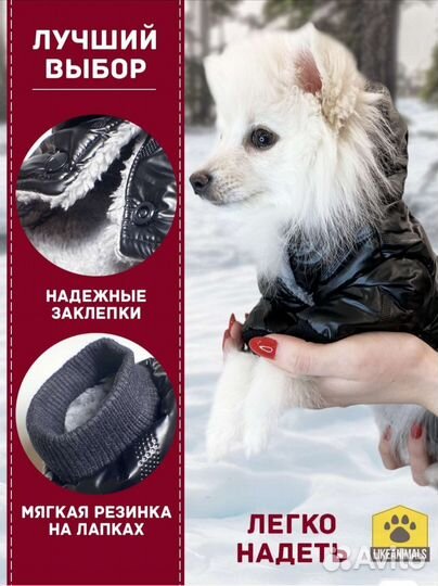 Комбинезон для собаки