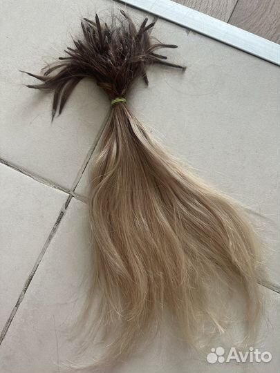 Волосы для наращивания славянка