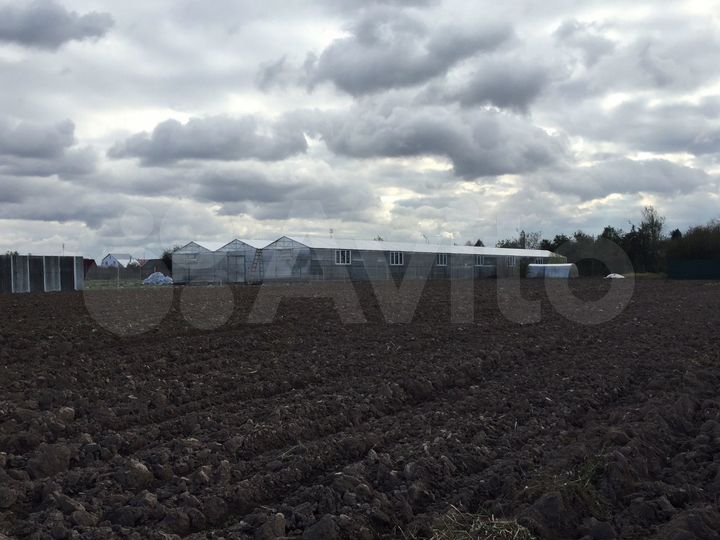 Производство, 1200 м²