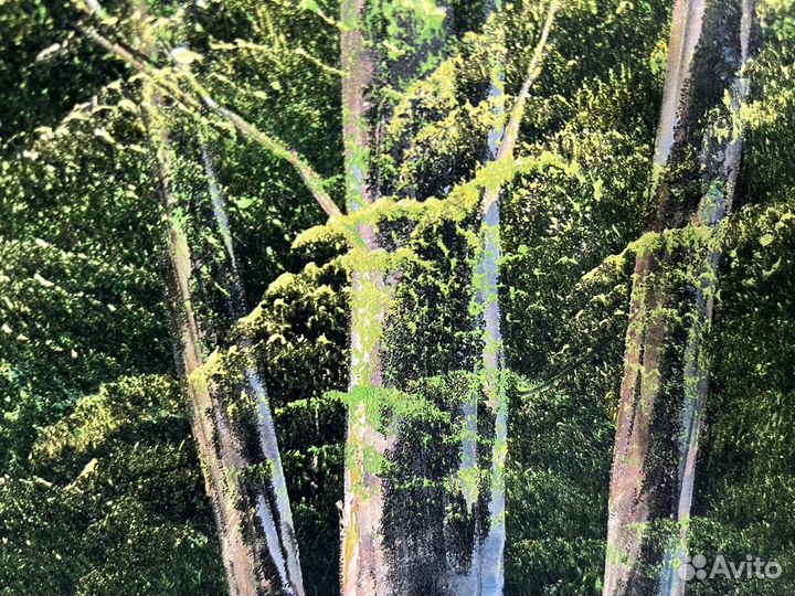 Картина на бархате