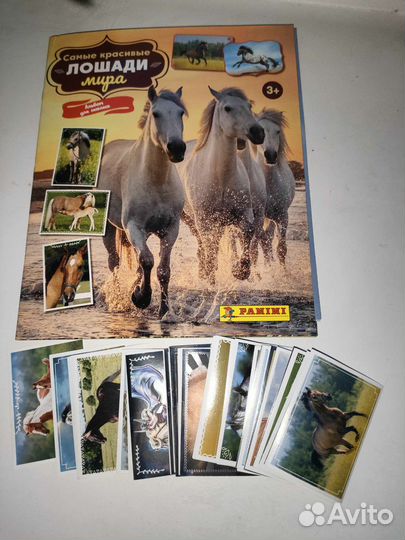 Наклейки panini