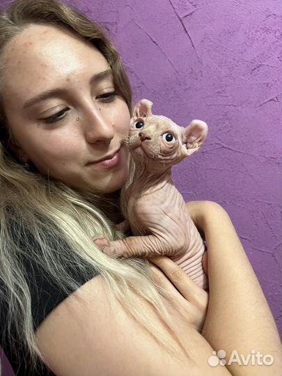 Малыши - эльфята