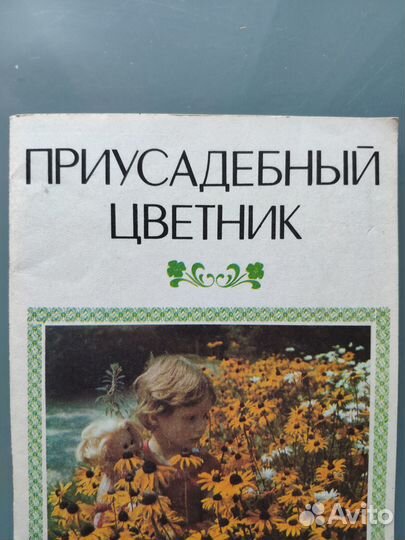 Приусадебный цветник,двулетники, гладиолусы