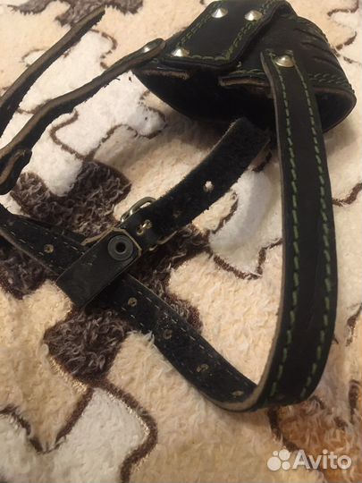 Ошейник повадок намордник