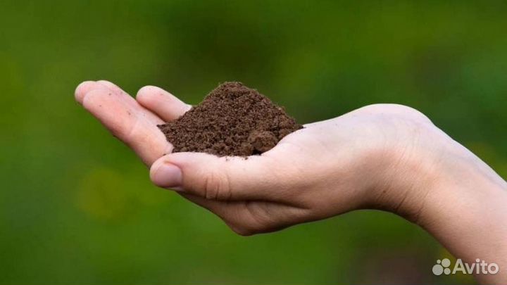 Торф (в мешках низинный и верховой )