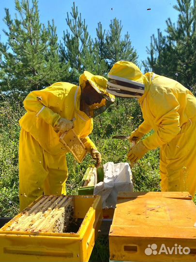 Инвестируйте в продукты питания от 50 годовых