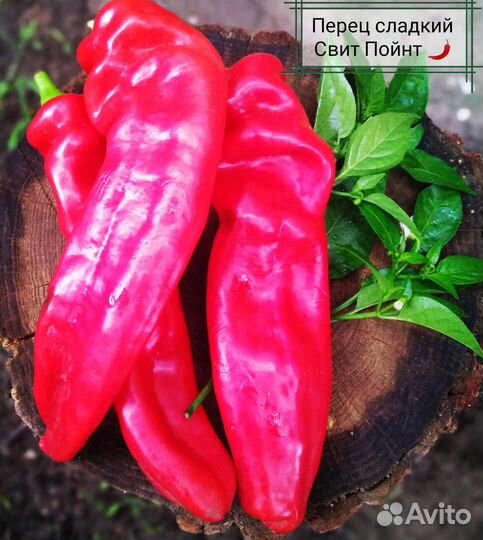 Комплект семян овощей (40 позиций)