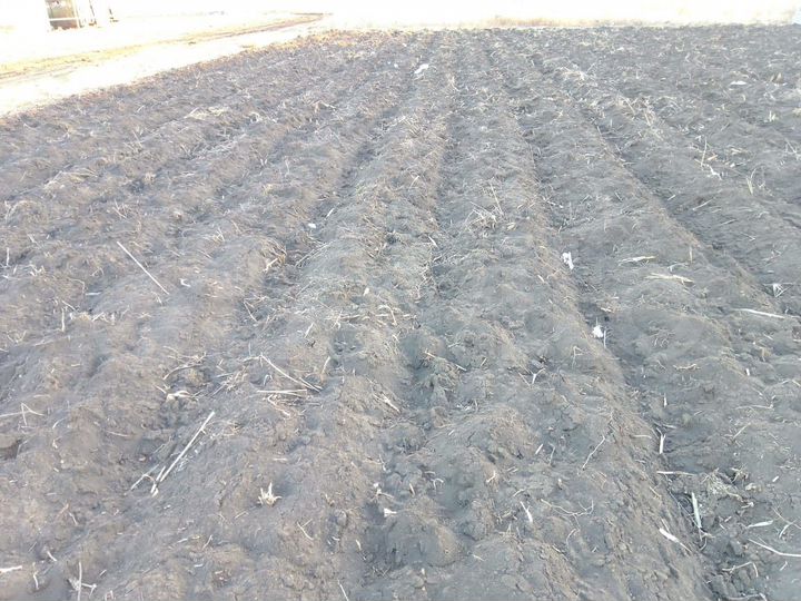 Участок 6 сот. (ИЖС)