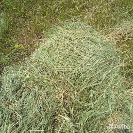 Сено солома в тюках