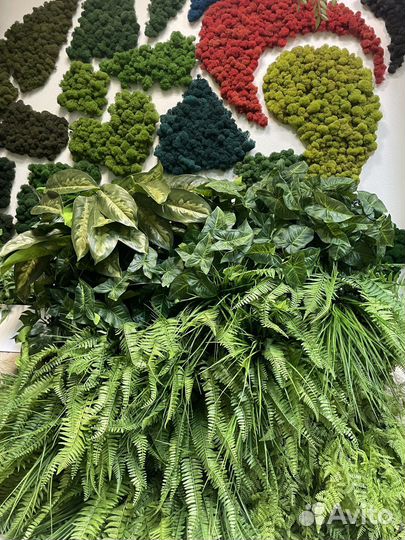 Модуль с растениями