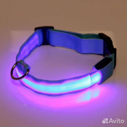Светящийся ошейник для собак