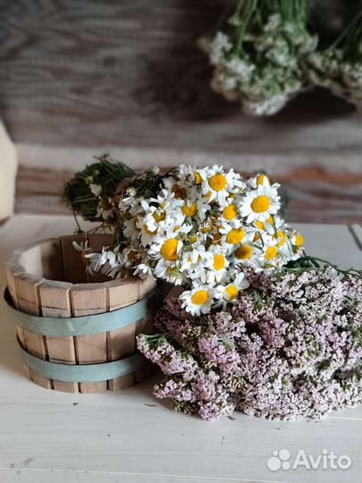 Веник,запарка.Полынь горькая,пижма,зверобой и др
