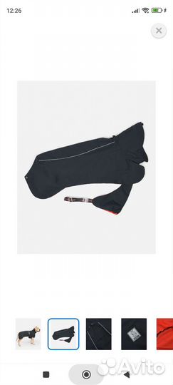 Одежда для большой собаки
