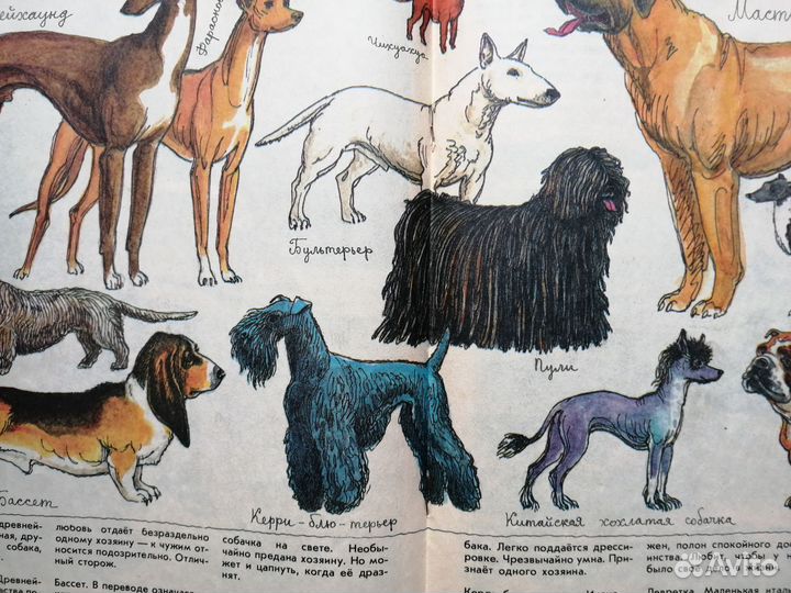 Журнал Мурзилка