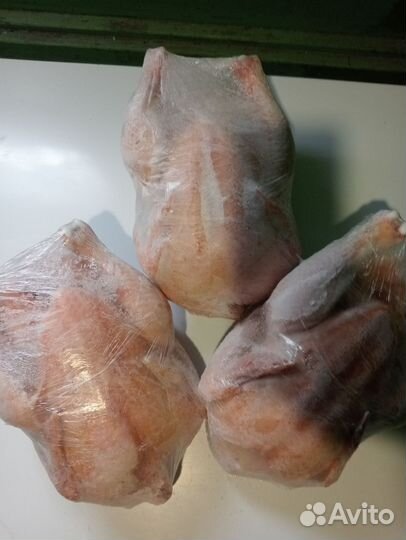 Куры бройлеры тушки мясо