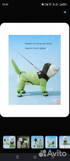 Дождевик для небольшой собаки