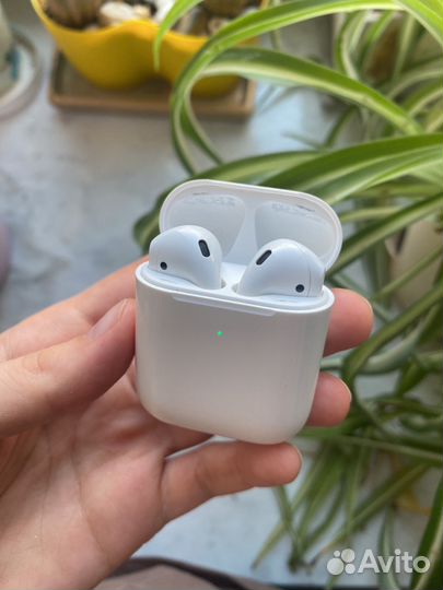 Apple airpods 2019 б/у