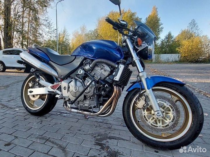Honda cb600 hornet