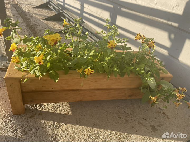 Кашпо для цветов