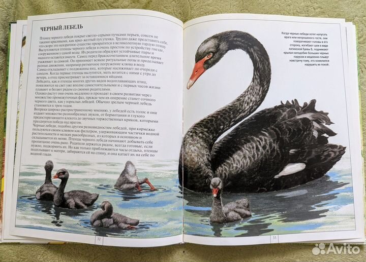 Книги энциклопедии
