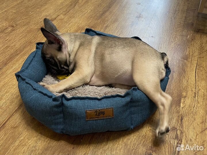 Лежанка для собак