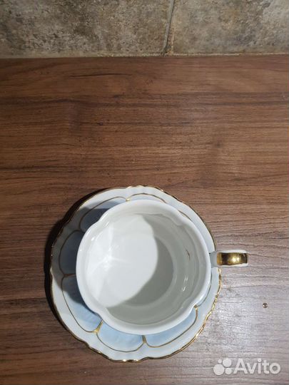 Чашка с блюдцем фарфор Вербилки.Гарден